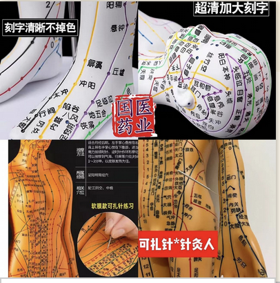 A595 Acupuncture Model 针灸人模型（可扎针） 55cm Mannequin points et méridiens MTC