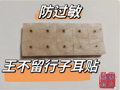 A597 Ear Press Seed 王不留行子耳贴 100PCS Graines acupression auriculothérapie